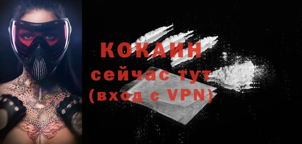 ПСИЛОЦИБИНОВЫЕ ГРИБЫ Алексин
