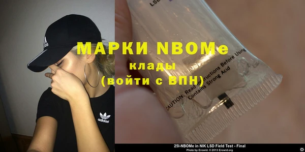 ПСИЛОЦИБИНОВЫЕ ГРИБЫ Алексин