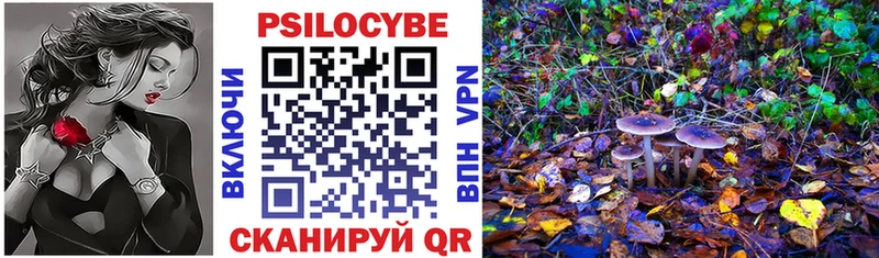 Псилоцибиновые грибы прущие грибы  Перевоз 